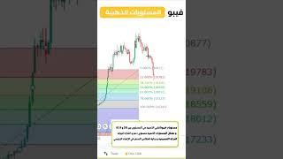 تعلم احتراف الشراء و البيع في التداول |  افضل استراتيجية تداول بإستخدام أداة تصحيح الفيبوناتشي