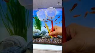 Incredible Fishing Nets For Aquariums  || #fishingnet #aquarius #gadgets #video