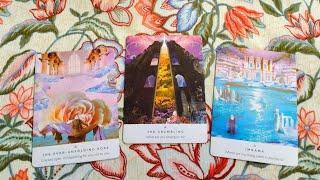 Tarot chọn tụ: MỌI NGƯỜI CHÚ Ý VỀ NGOẠI HÌNH, TÍNH CÁCH, HAY NĂNG LỰC CỦA BẠN?🪙 Tarot Xuân Thúy