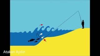 Surf casting nedir?