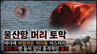[울산항 머리] 떠밀려온 "머리" 안에 들어 있던 이상한 물건