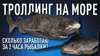 Троллинг на Норвежском море • Какой фарм? • Русская Рыбалка 4