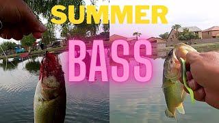 How to FIsh for Bass in the Summer