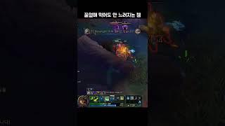 벡스님 나빠요