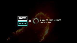 NowThis Earth x Global Commons Alliance