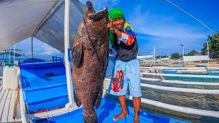 Idol niño nanliit sa laki ng grouper nato catch & sell