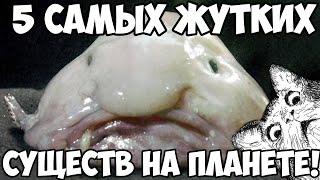 5 САМЫХ ЖУТКИХ СУЩЕСТВ НА ПЛАНЕТЕ! ЧАСТЬ 2!