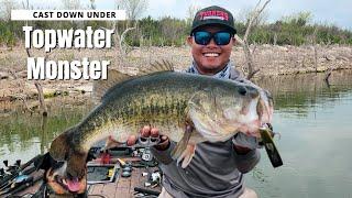 Big Bass Dreams Spotted Bass Cast Fishing Down Under Diving Popper 60g Cast to Catch 11 Pound Bass