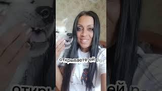 мои собаки не кусаются))))))