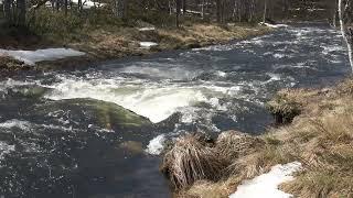 Saariselkä, Laaniojan kevättulva, Hammastunturin erämaan laidalla