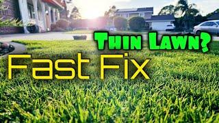 Weirdly Fast Way To Fix A Thin Lawn This Spring