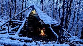 3 Tage Bushcraft-Wintercamping im primitiven Tierheim mit meinem Hund, Naturfilm