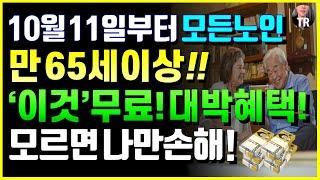 10월 11일부터 모든노인 만 65세이상 새로운 대박 혜택 '이것' 무료! 모르면 나만손해! 지하철 무료폐지 기초연금 감액폐지 논란, 당뇨 고혈압지원금 등 [시니어특급뉴스 10월]