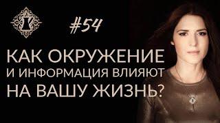 КАК ОКРУЖЕНИЕ И ИНФОРМАЦИЯ ВЛИЯЮТ НА ВАШУ ЖИЗНЬ? #Адакофе 54