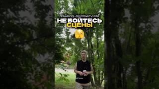 Мой курс по публичным выступлениям - https://menshikovapropr.ru/