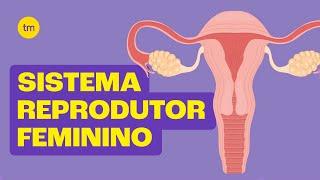 Sistema Reprodutor Feminino | Resumo Toda Matéria