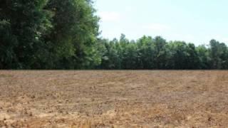 SC Land For Sale: Farm/Recreational Land