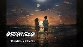 Akhiyaan_Gulab ️️|USE Audio Nocopyright Act|Lofi Song|Slowed+ Reverb #yt #youtube @lofisong-fan2