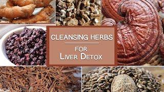 Cleansing Herbs for the Liver and More |  Healing Herbs for Detoxification