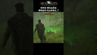 아바다 케다브라는 해리포터 이스터에그..? #Shorts