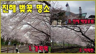 [진해 벚꽃] # 창원시 진해구- 벚꽃 명소인 진해  # 경화역 # 여좌천 # 진해해양공원의 벚꽃 감상하기