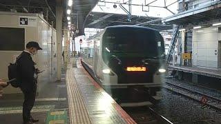 E257系5000番台OM-91編成 特急新宿わかしお号新宿行きミュージックホーンを2回鳴らしながら千葉駅入線