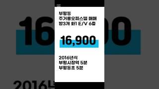 부평오피스텔 1억6900만원 방3,화1 2016년식 매가 1억6천9백 부평시장역 도보5분