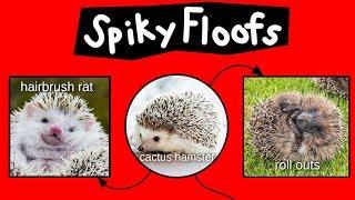 Spiky Floofs, Cactus Hamsters & Heb Hobs—Internet Names for Hedgehogs