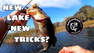 How I Find Bass On A NEW LAKE - Bass Fishing Johns Lake, Florida