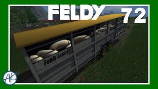 Let's Play | FS '11 | Feldy 72