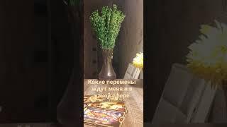 Каких ждать перемен и в какой сфере?