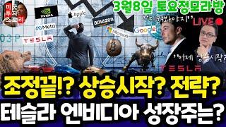 미국주식/조정끝? 앞으로 3주! 최고전략은? (편집본)/테슬라 엔비디아 구글 애플 아마존 메타 마이크로소프트 팔란티어 아이온큐 리게티 SMCI LLY 노보등 $tsla #tesl