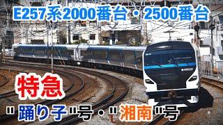 E257系2000番台・2500番台 特急"踊り子"・"湘南"号