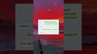 Чатик №313