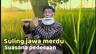 suling jawa merdu dengan suasana alam pedesaan, cocok buat yang kangen kampung halaman