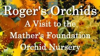 A Visit to the Mather's Foundation Orchid Nursery