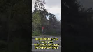 乘坐西雅图公共交通轻轨前往塔科马国际机场 沿途风景分享