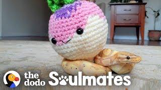 This Ball Python Hangs Out in a Crochet Cave | The Dodo Soulmates