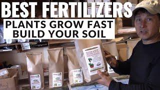 Best Natural Fertilizers for Faster Plant Growth that Build Soil