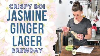 Crispy Jasmine Flower Ginger Lager Brewday