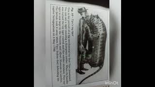 #tipu's toy tiger