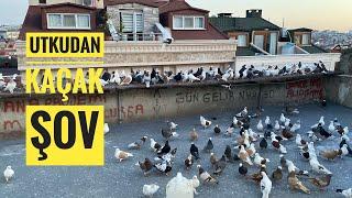 UTKU TEK BAŞINA 6 TANE KAÇAK YAKALAMIŞ
