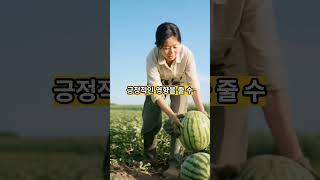 버리지 마세요   수박씨 에 숨겨진 놀라운 효능 3가지 #건강 #명언 #영양식