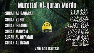 MUROTTAL QURAN MERDU | Surah Al Baqarah,Yusuf,Ibrahim,Maryam,Al Qiyamah,Al Insan | Zain Abu Kautsar