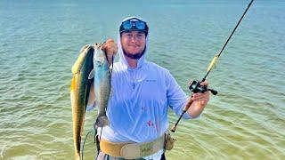 WADE FISHING for SPECKLED TROUT and REDFISH! (Catch & Cook)