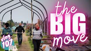 Ep107: All this in just ONE weekend!! | Moving allotment plots