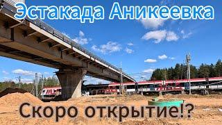 Эстакада в Аникеевке накануне открытия.