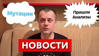 Генетические Анализы - Мутации в генах гемостаза крови и фолатного цикла. Буду капать Железо.