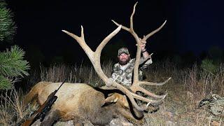 GIANT ARIZONA ELK! - (Hunting BUGLING Bulls)