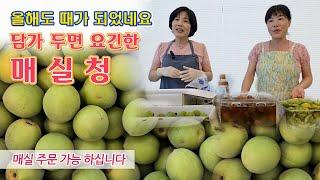  조금만 시간 내면 1년 내내 요긴하게 사용하는 매실청 만들기